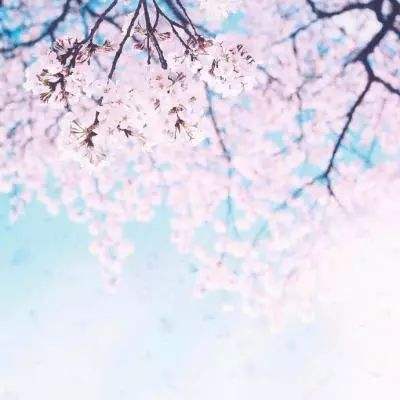 部落进化手游